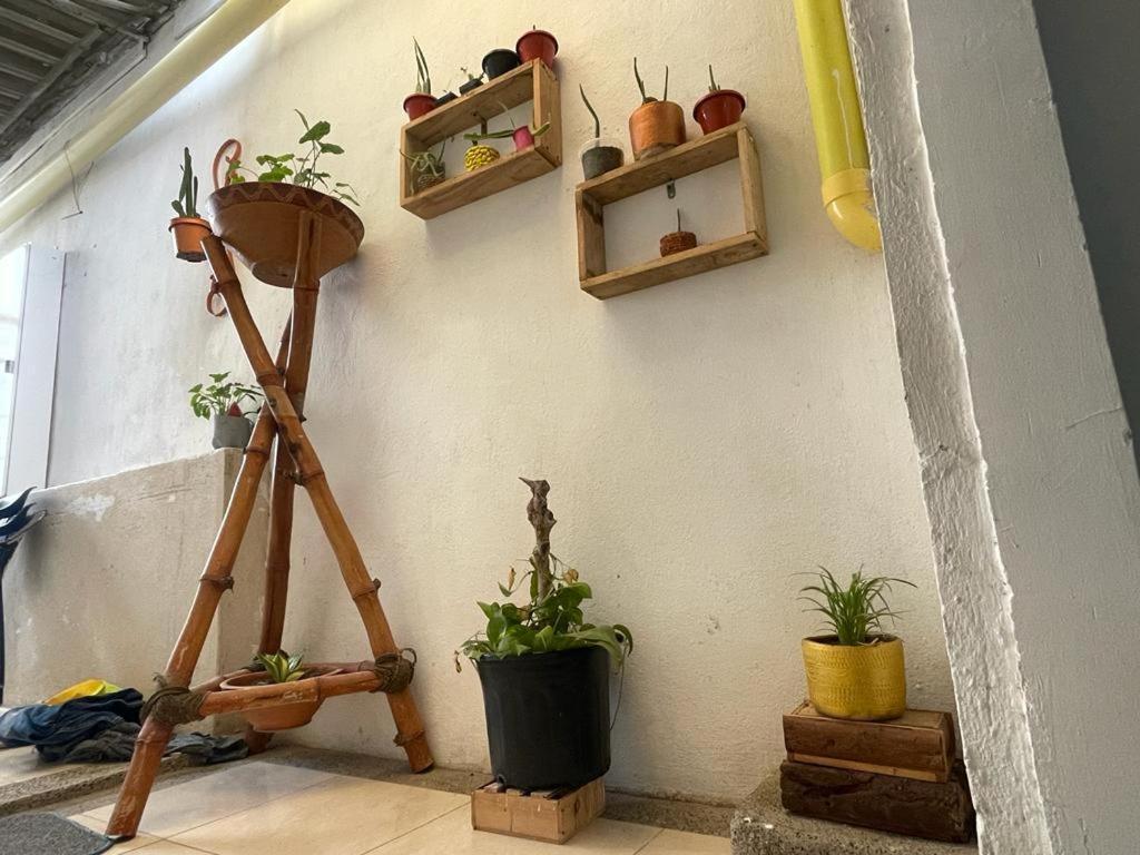 Séjour chez l'habitant La Nota Place Santa Marta (Magdalena)